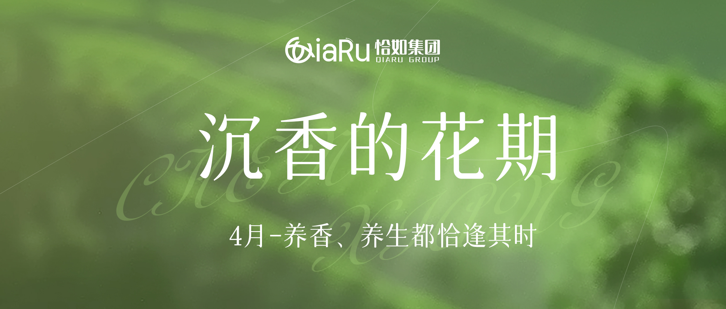 沉香的花期