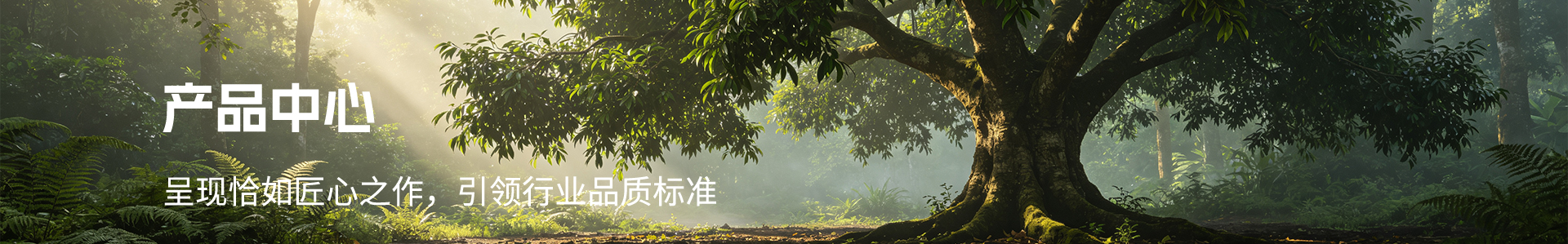 广州恰如供应链有限公司